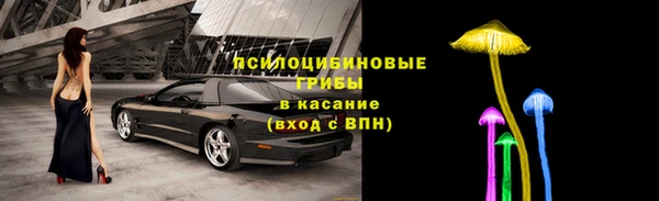 шишки Бугульма