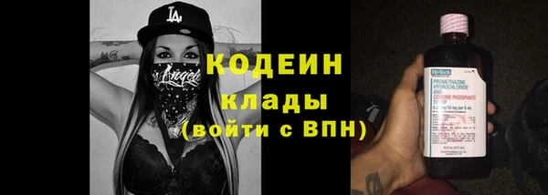 трава Белокуриха
