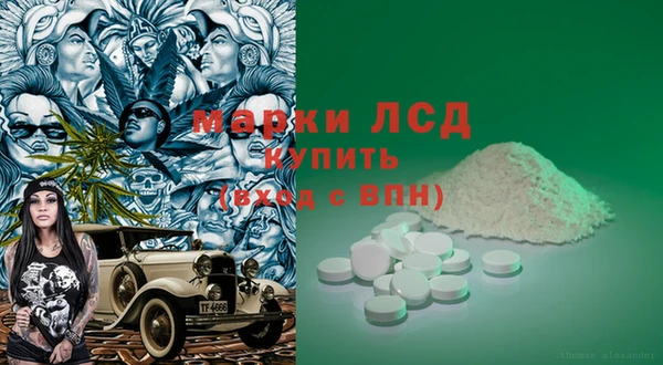 трава Белокуриха