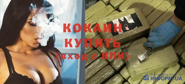 сатива Бронницы