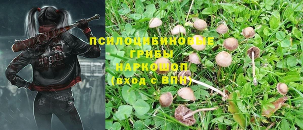 дмт Бородино