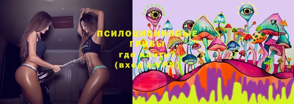 каннабис Инта
