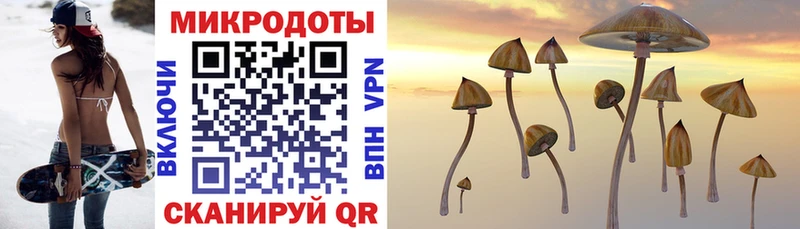 мориарти формула  Кушва  Галлюциногенные грибы Cubensis 